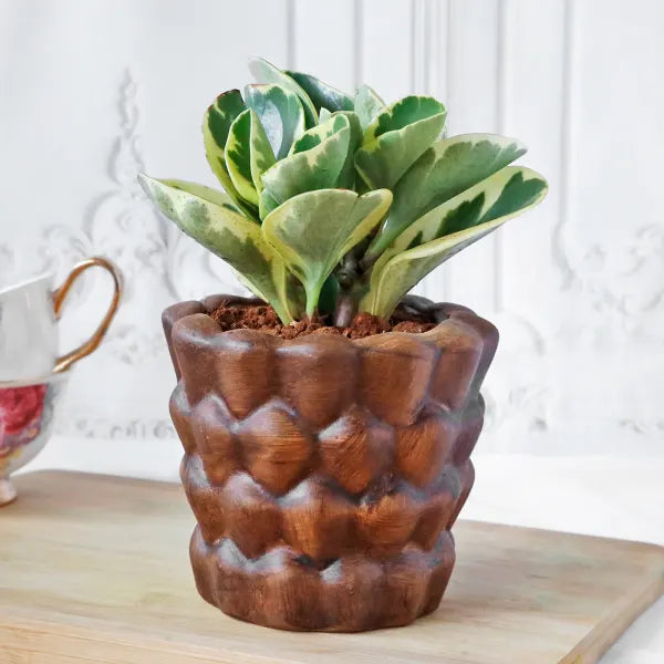 Flowers In Grey Ceramic Planter