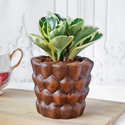 Flowers In Grey Ceramic Planter